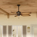 Kichler - 310095SNB - 56"Ceiling Fan - Nani - Satin Natural Bronze