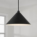 Capital Lighting - 351311MB - One Light Pendant - Alden - Matte Black