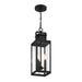 Savoy House - 5-827-BK - Three Light Outdoor Hanging Lantern - Ascott - Matte Black