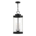 Savoy House - 5-901-BK - Three Light Outdoor Hanging Lantern - Englewood - Matte Black