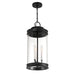 Savoy House - 5-901-BK - Three Light Outdoor Hanging Lantern - Englewood - Matte Black