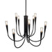 Artcraft - AC11929BK - Nine Light Chandelier - Bronte - Black